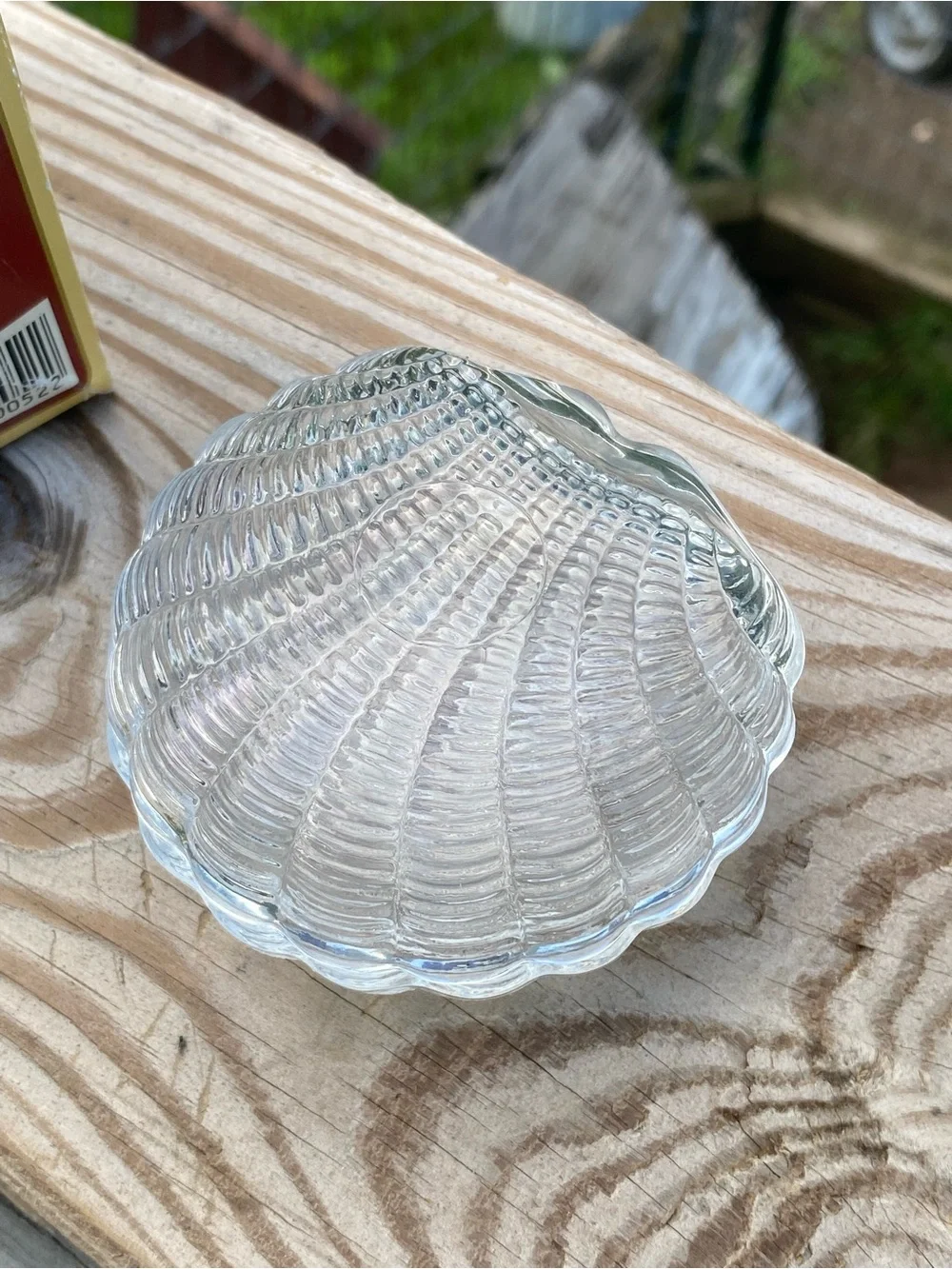 Clear Glass Shell Trinket Box - Decorative Sea Shell